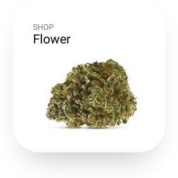 shop flower weed -1